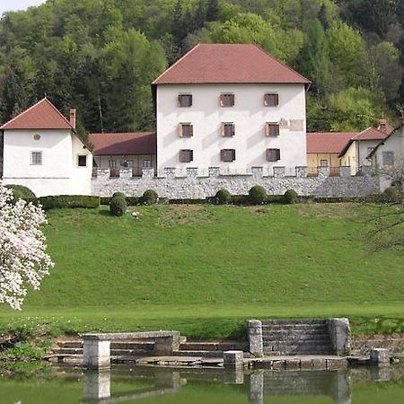 Grad Strmol Otel Cerklje na Gorenjskem Dış mekan fotoğraf