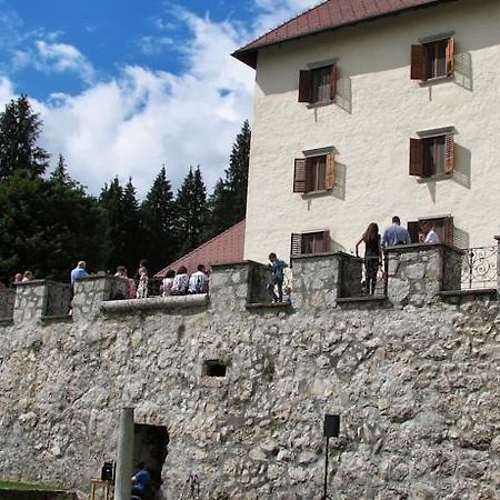 Grad Strmol Otel Cerklje na Gorenjskem Dış mekan fotoğraf